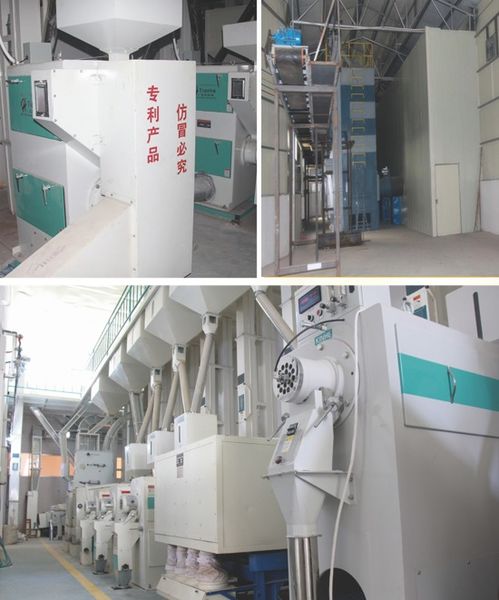 在廣西,賣得更好的大米是什么米