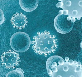 生物技術與公眾理解科學 以英國為例的分析